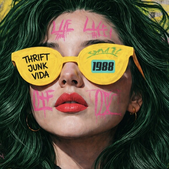 thriftjunkivida